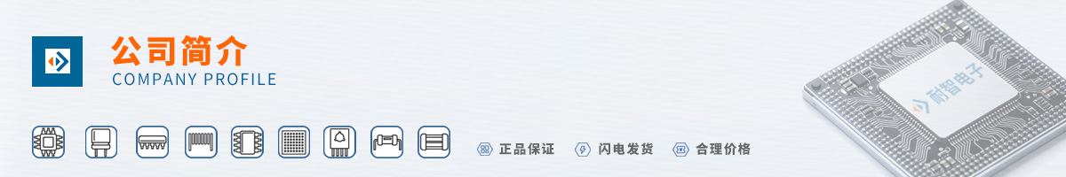 Active-Semi(����뵼��)��˾����