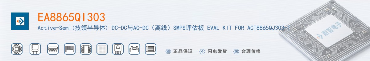 EA8865QI303������